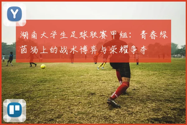 湖南大学生足球联赛甲组：青春绿茵场上的战术博弈与荣耀争夺