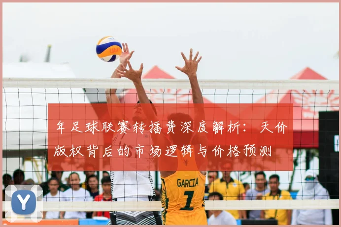 年足球联赛转播费深度解析:天价版权背后的市场逻辑与价格预测