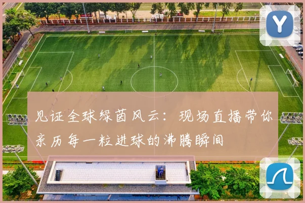见证全球绿茵风云：现场直播带你亲历每一粒进球的沸腾瞬间