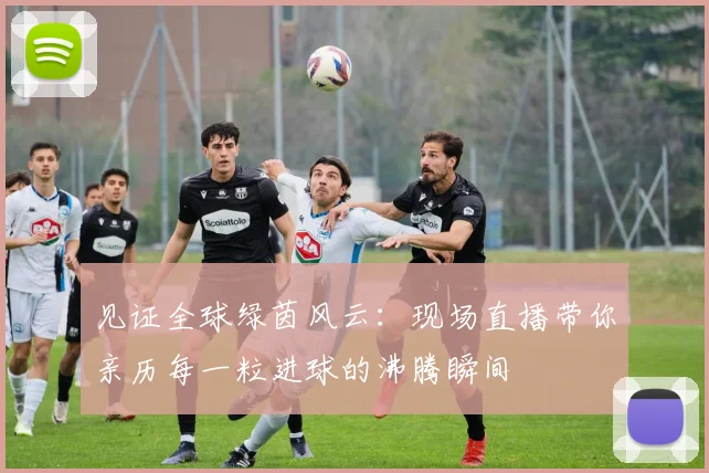 见证全球绿茵风云:现场直播带你亲历每一粒进球的沸腾瞬间
